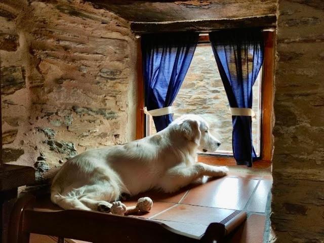 Casa Rural Bierzo Encantado Valle de Finolledo 외부 사진